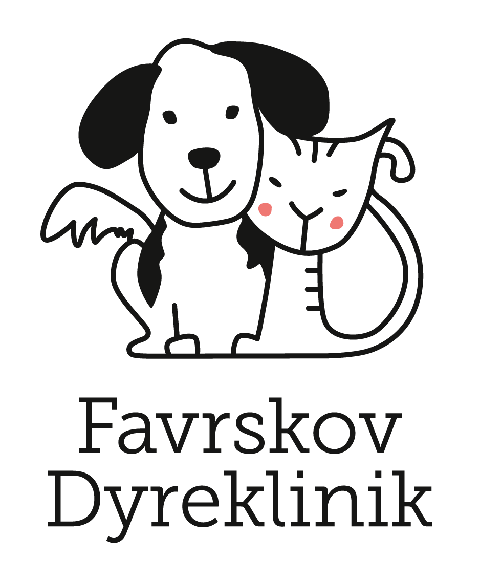 FD_Logoudvik_24