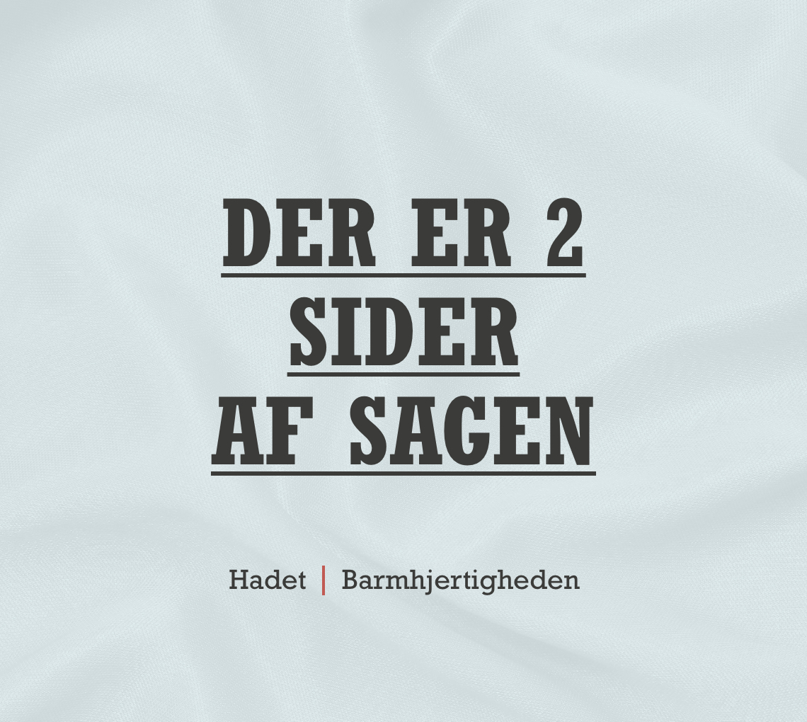 2-sider-af-sagen-faldskaerm-02@2x